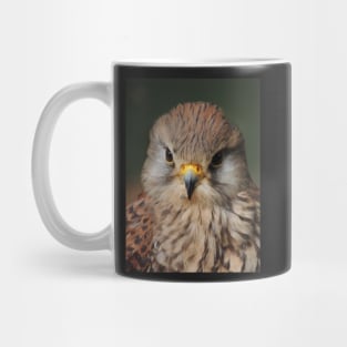 Kestrel Mug